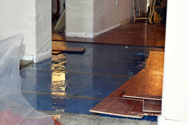 Professional Burst Pipe Cleanup technician working in Evans, GA